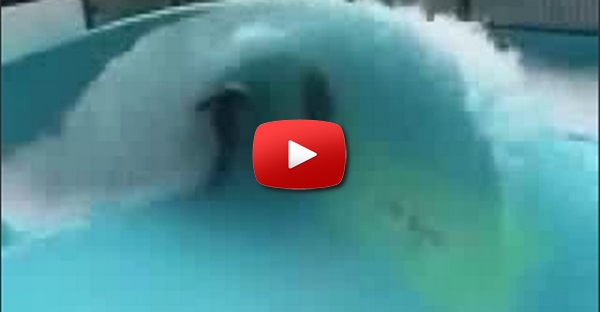 Surf Caseiro